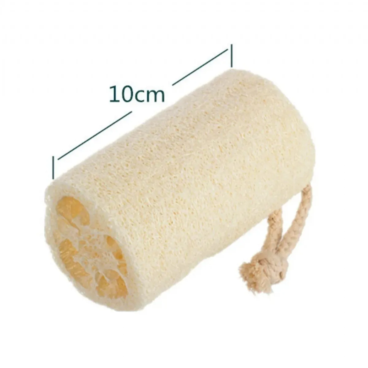 Kabak Lifi Doğal 10cm 1ad - BİTKİ DİYARI - Ürün Görseli 1