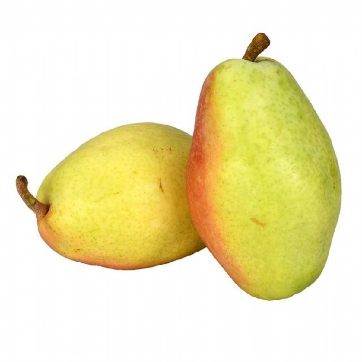 Armut Santamaria Kg