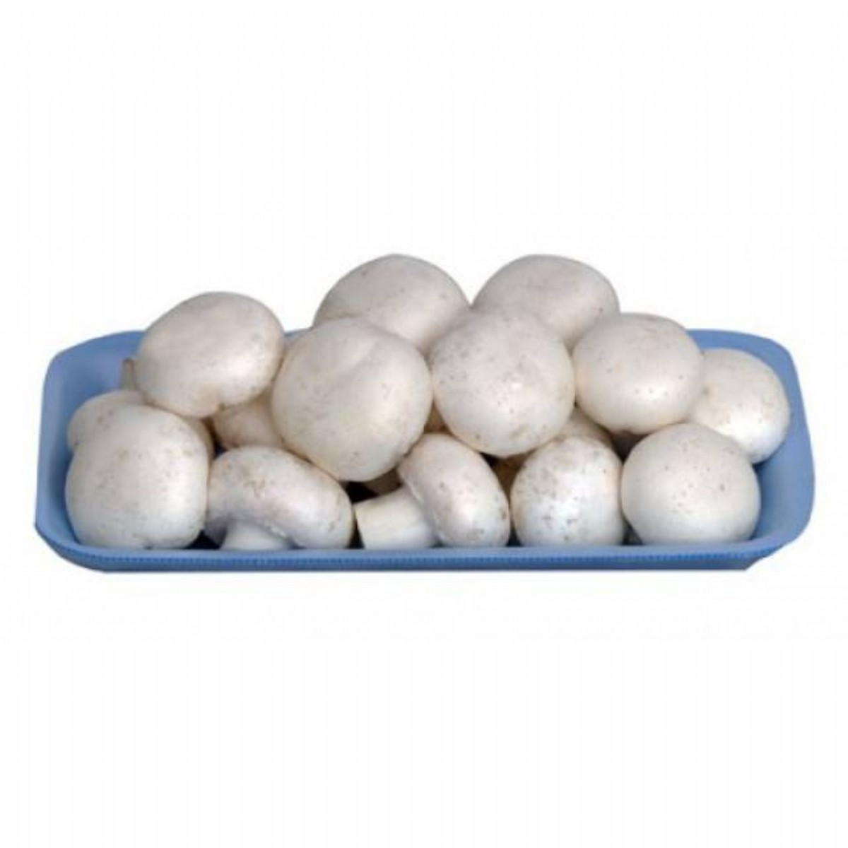 Mantar Kültür Paket 350 Gr