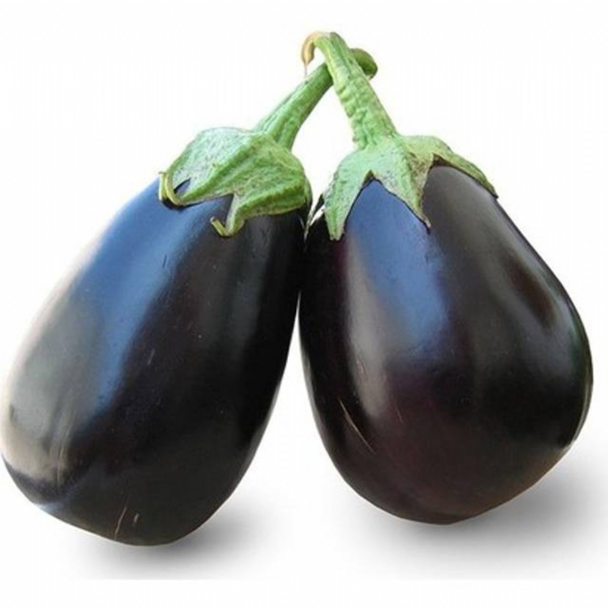 Patlıcan Topan Kg