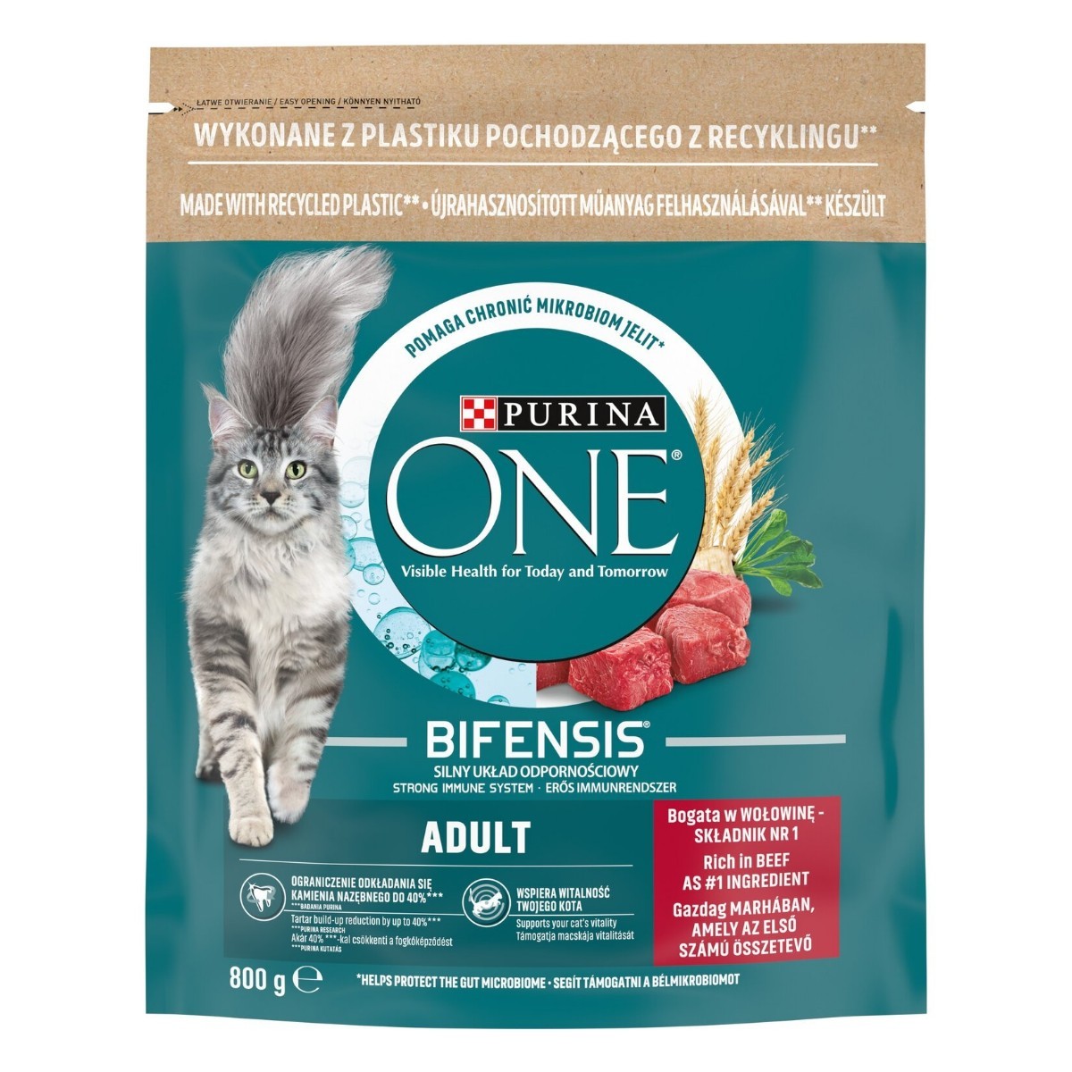 Purina One Yetişkin Kediler İçin Kuru Mama 750 Gr
