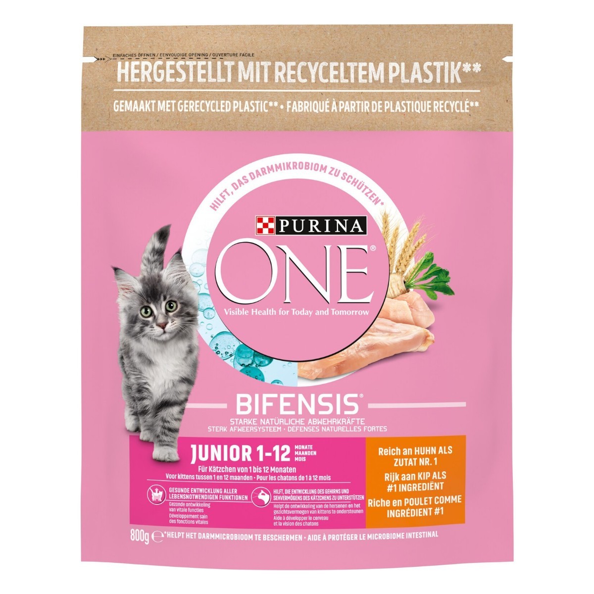Purina Junior Kediler İçin Kuru Mama 750 Gr