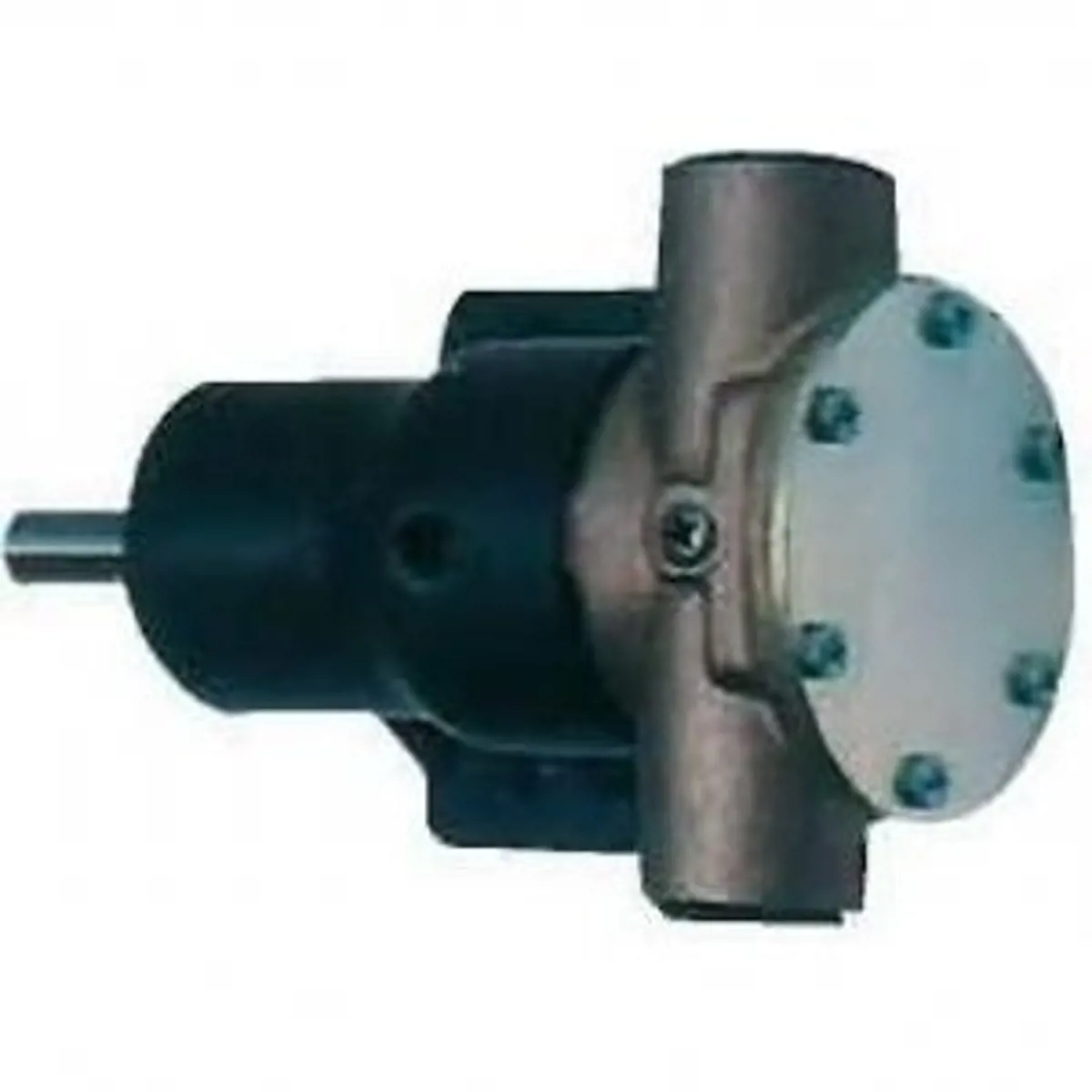 ITT JABSCO AYAKLI POMPA 3/4" - Jabsco - Ürün Görseli 1