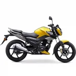 Tvs Raider 125 Motosiklet Sarı