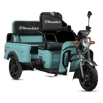 Motolux Fayton FX44 1300 W 3 Tekerlekli Elektrikli Motosiklet Yeşil