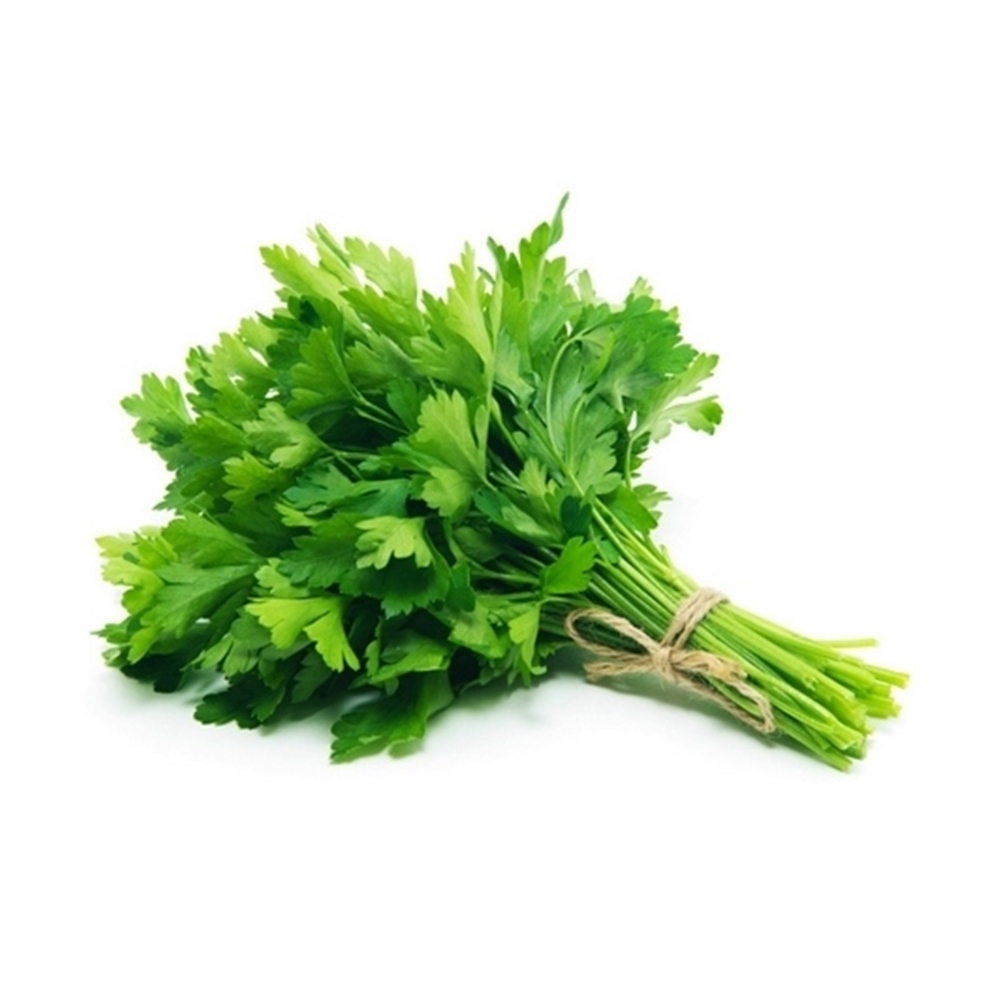 Maydanoz