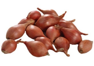 Adapazarı Soğanı