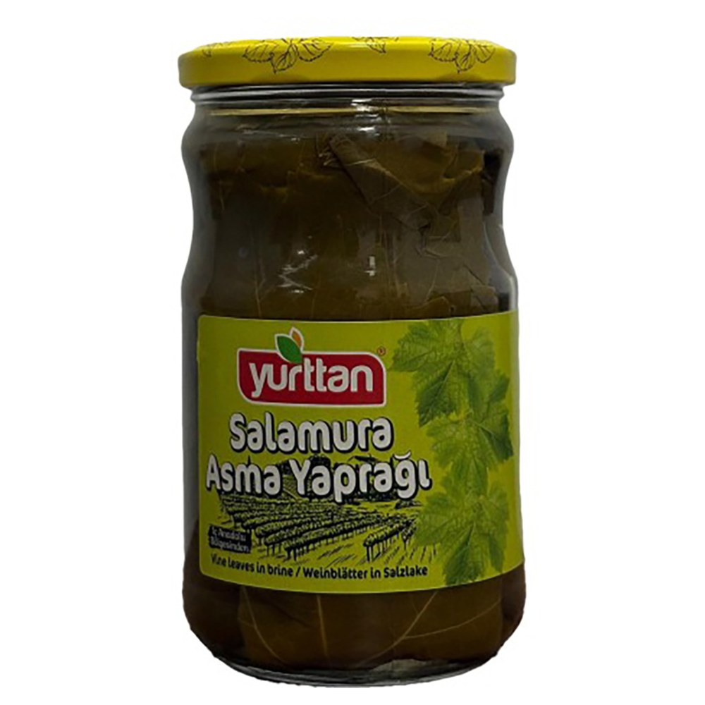 Salamura Asma Yaprağı