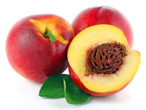 Şam Tüysüz Şeftali