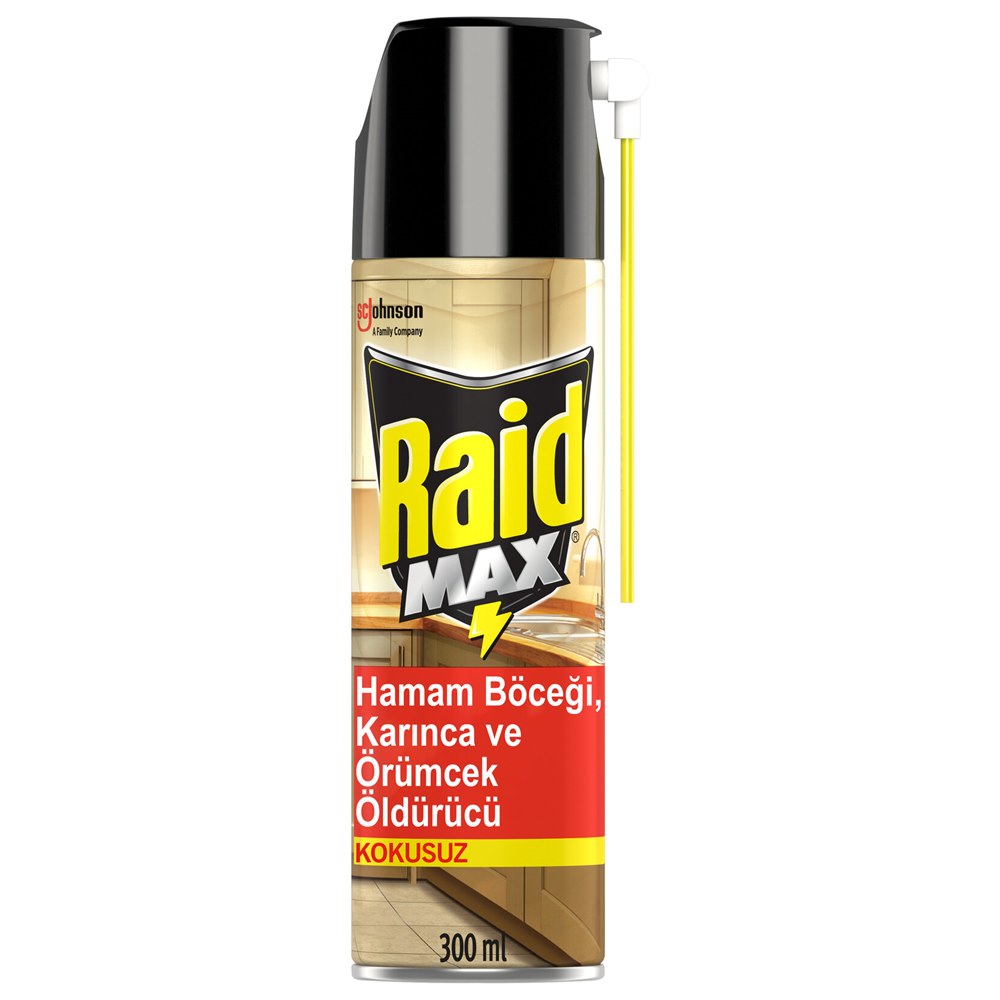Raid Böcek Savar Max 300 ml