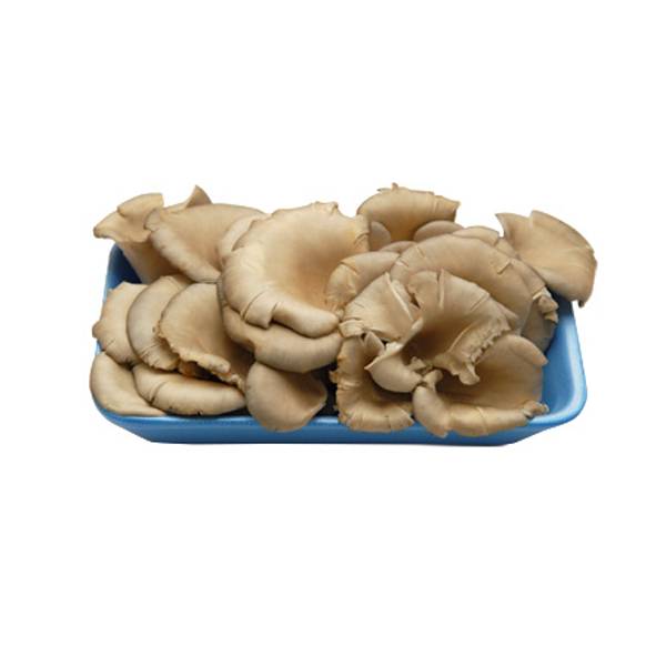 Ada İstiridye Mantarı 400 g