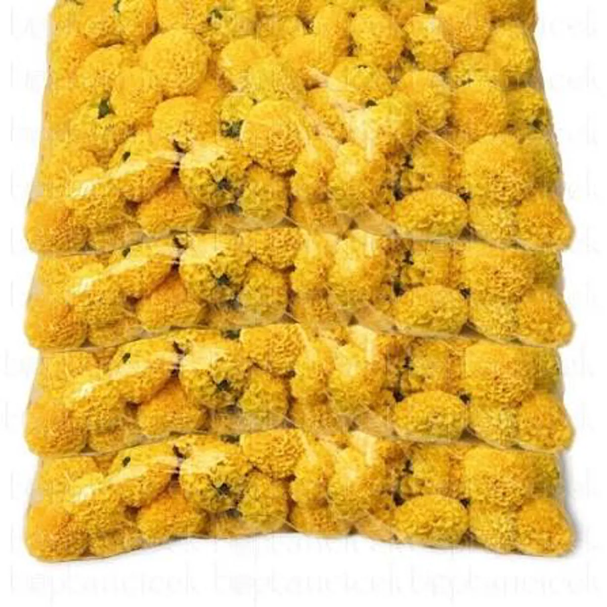 Yerli Cinya Sarı (1 Paket) - Ürün Görseli 1