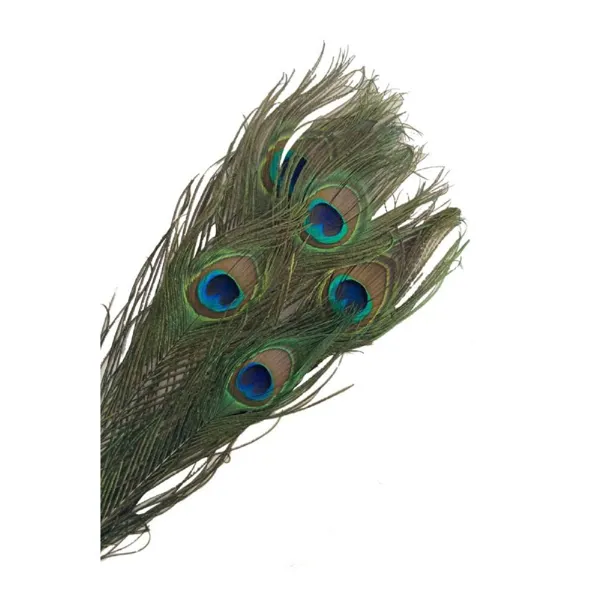 Ürün görseli 2