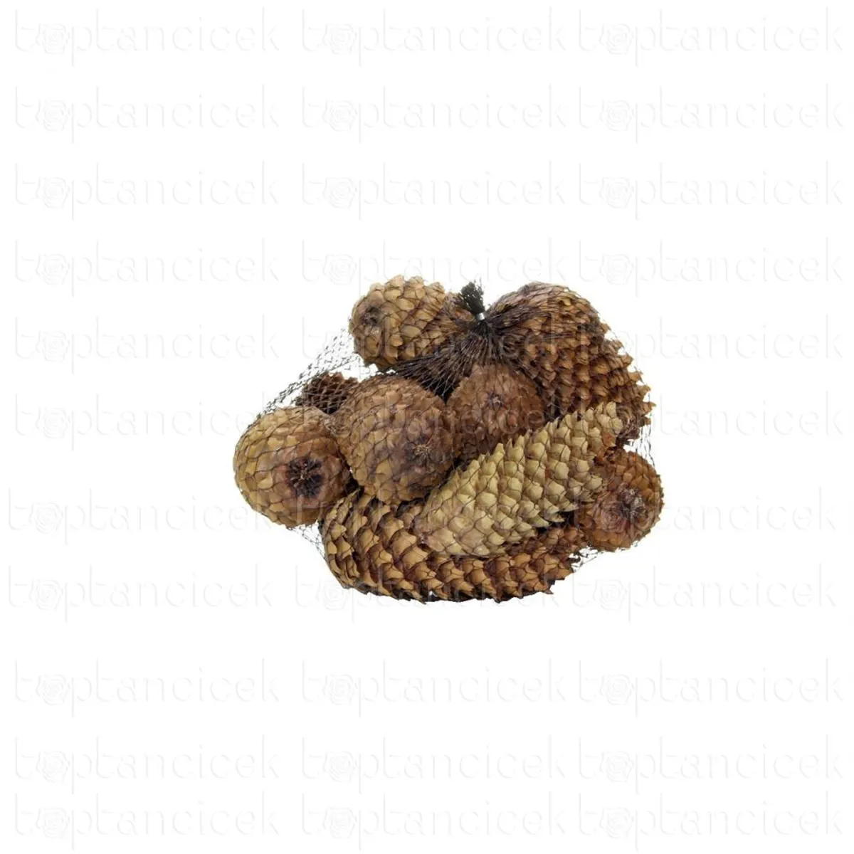 Kuru Garnitür Kozalak Bulgar (6 adet-Natural) - Ürün Görseli 1