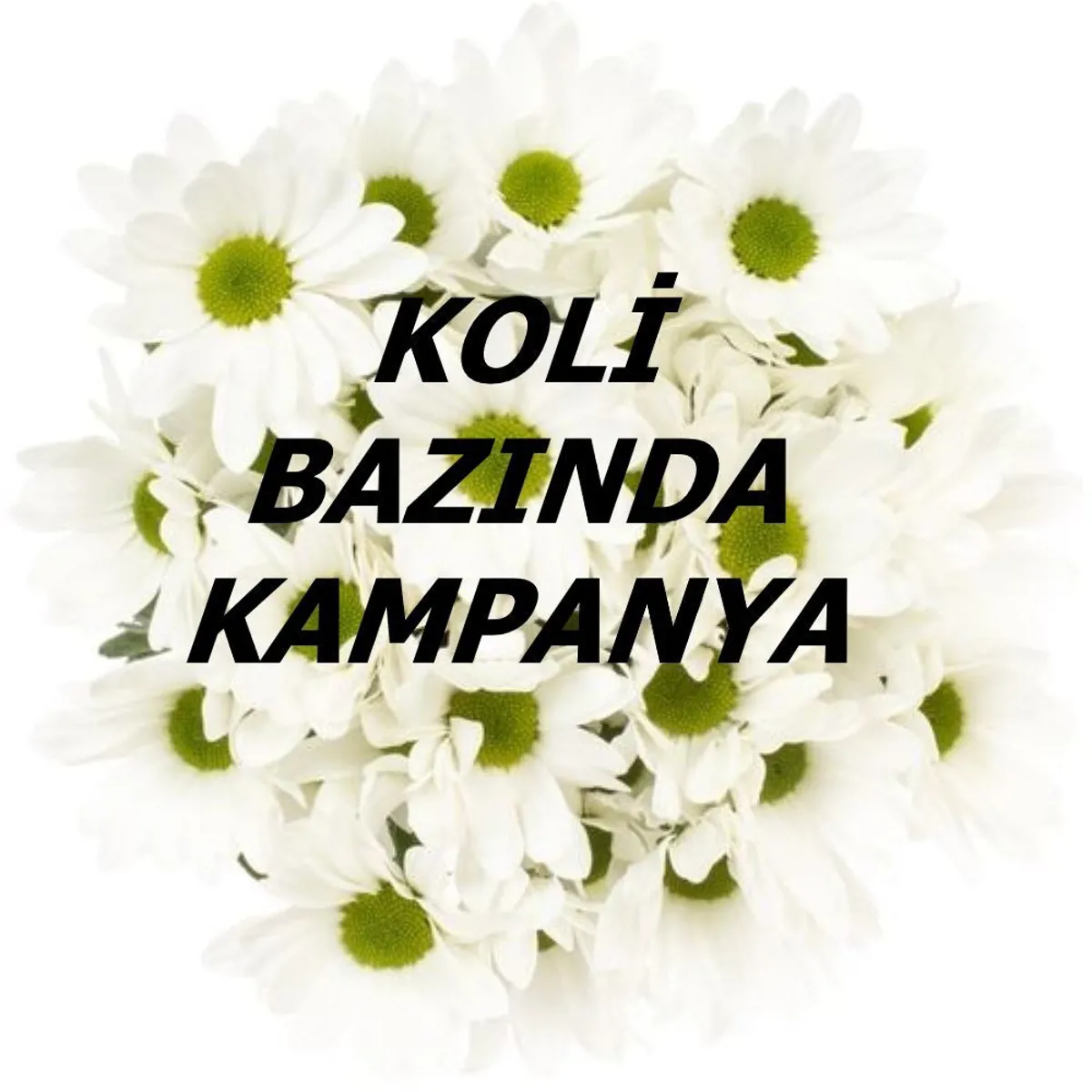 Ürün görseli