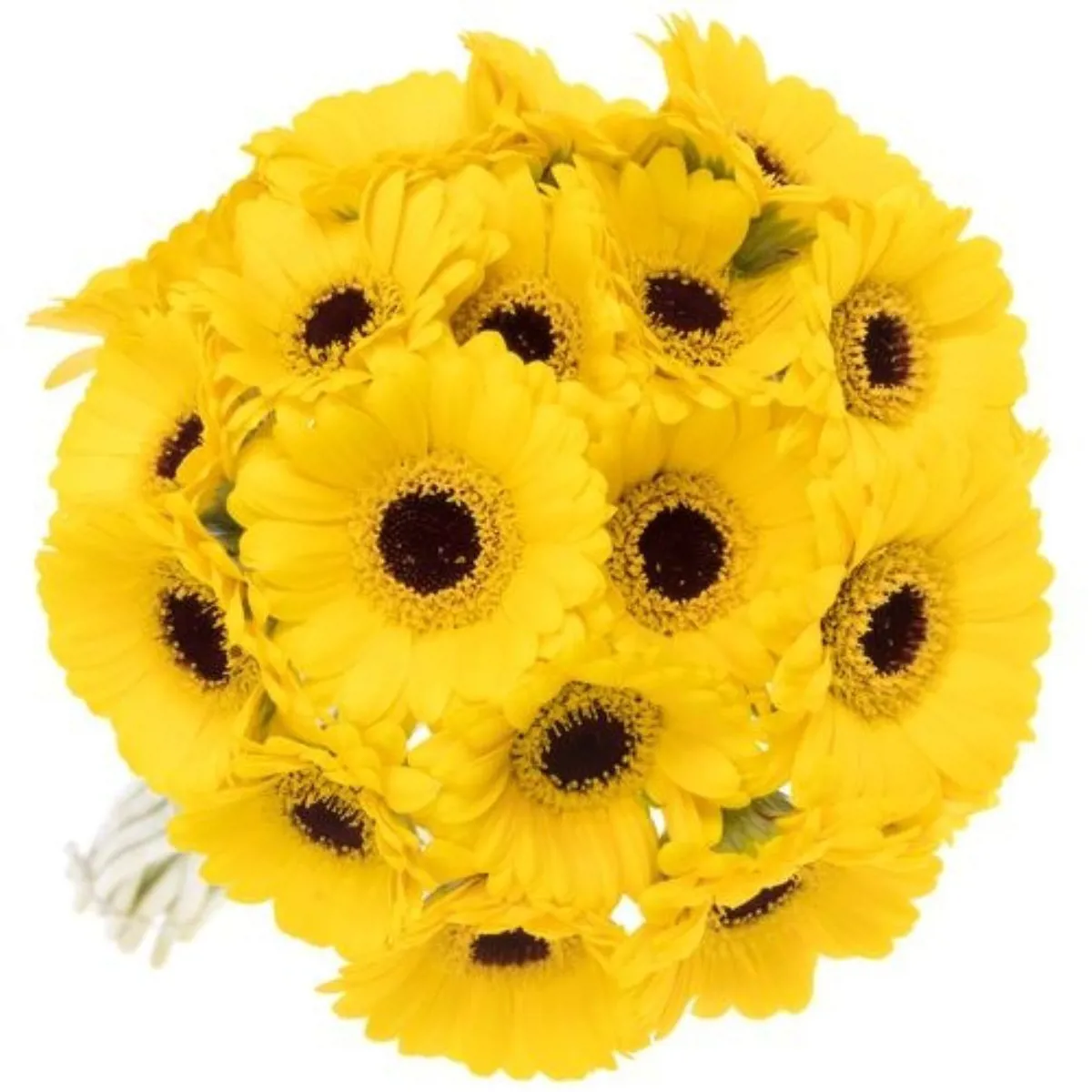 Yerli Gerbera Sarı (20 Dal) - Ürün Görseli 1
