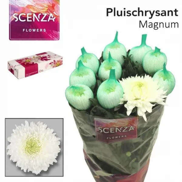 Ürün görseli 2