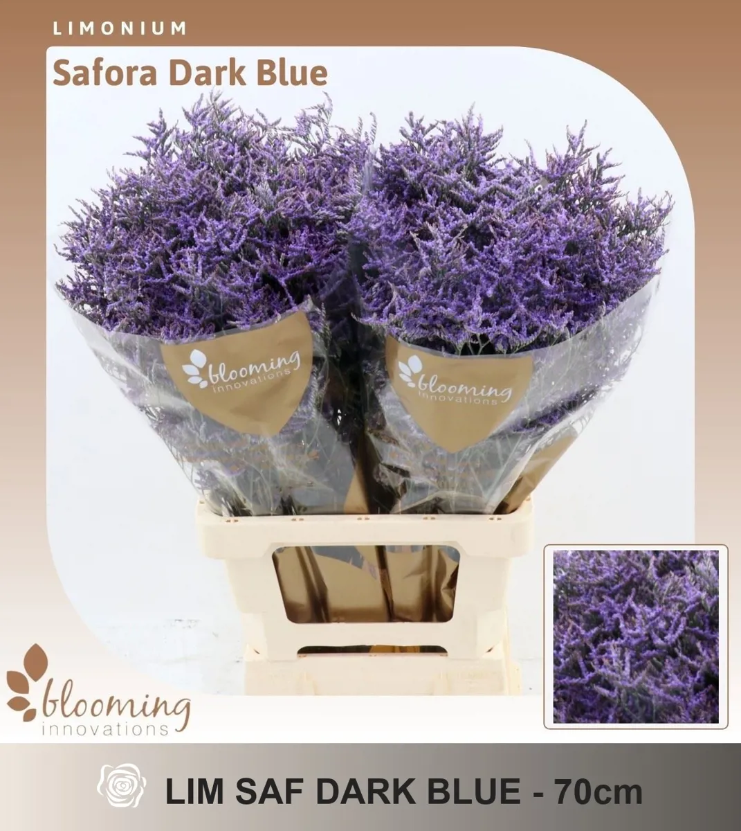 İthal Limonium Saf Dark Blue (25 dal-60 cm) - Ürün Görseli 1
