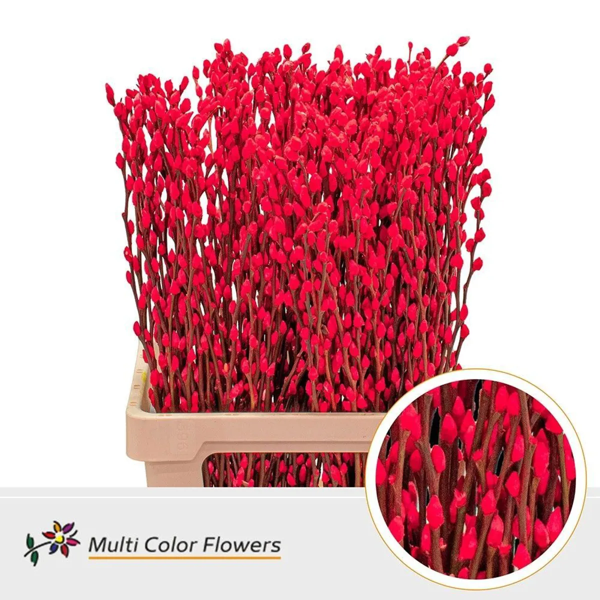 İthal Salix Ca Snow Flake Red (10 dal-70cm) - Ürün Görseli 1