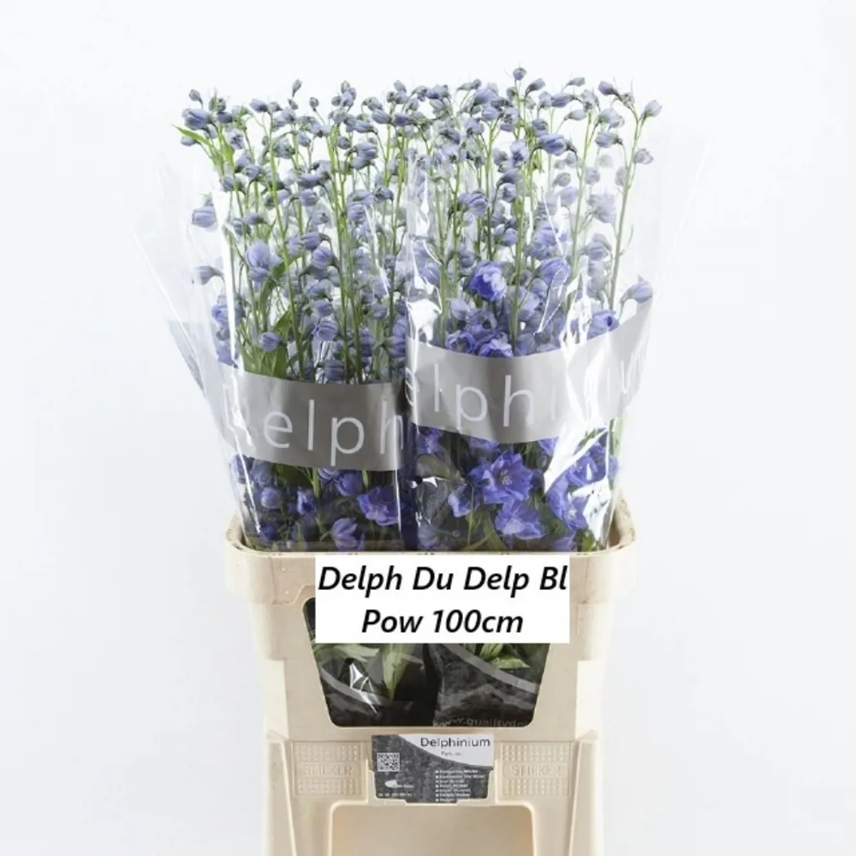 İthal Delphinium El Blue Power  (10 dal-100cm) - Ürün Görseli 1