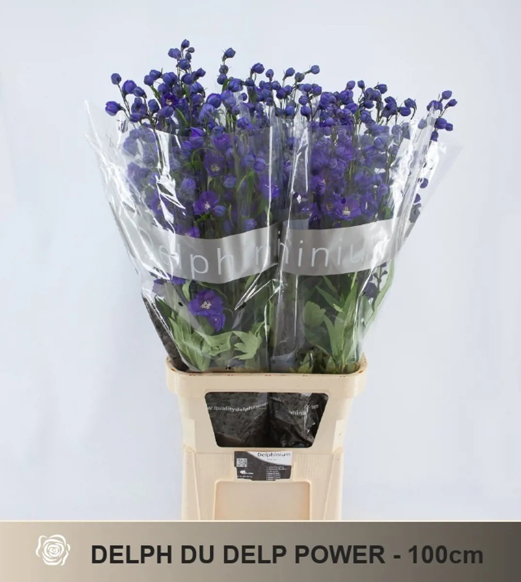İthal Delphinium El Power  (10 dal-100cm) - Ürün Görseli 1