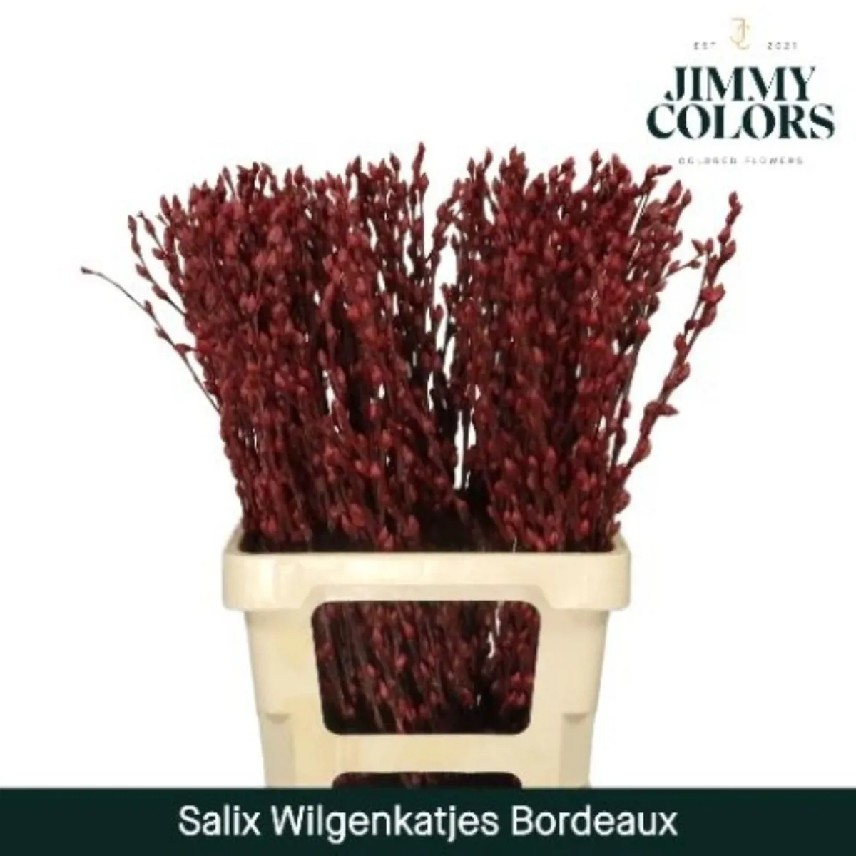 İthal Salix Ca Snow Flake Bordeaux  (10 dal-70cm) - Ürün Görseli 1