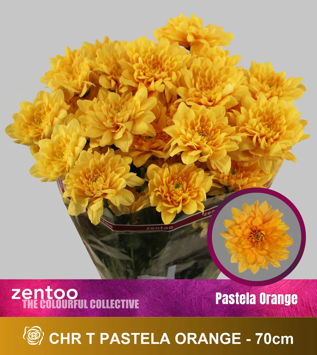İthal Chrysanthemum T Pastela Orange (Biçme-5 dal-70cm) - Ürün Görseli 1