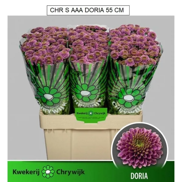 Ürün görseli 4