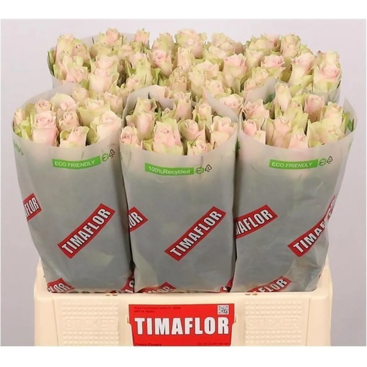 İthal Gül Pink Athena (10 dal-60cm) - Ürün Görseli 1
