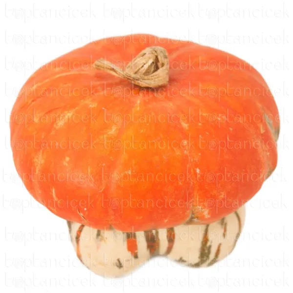Ürün görseli 2