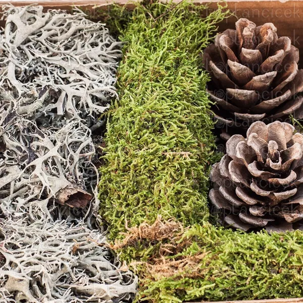 Ürün görseli 2