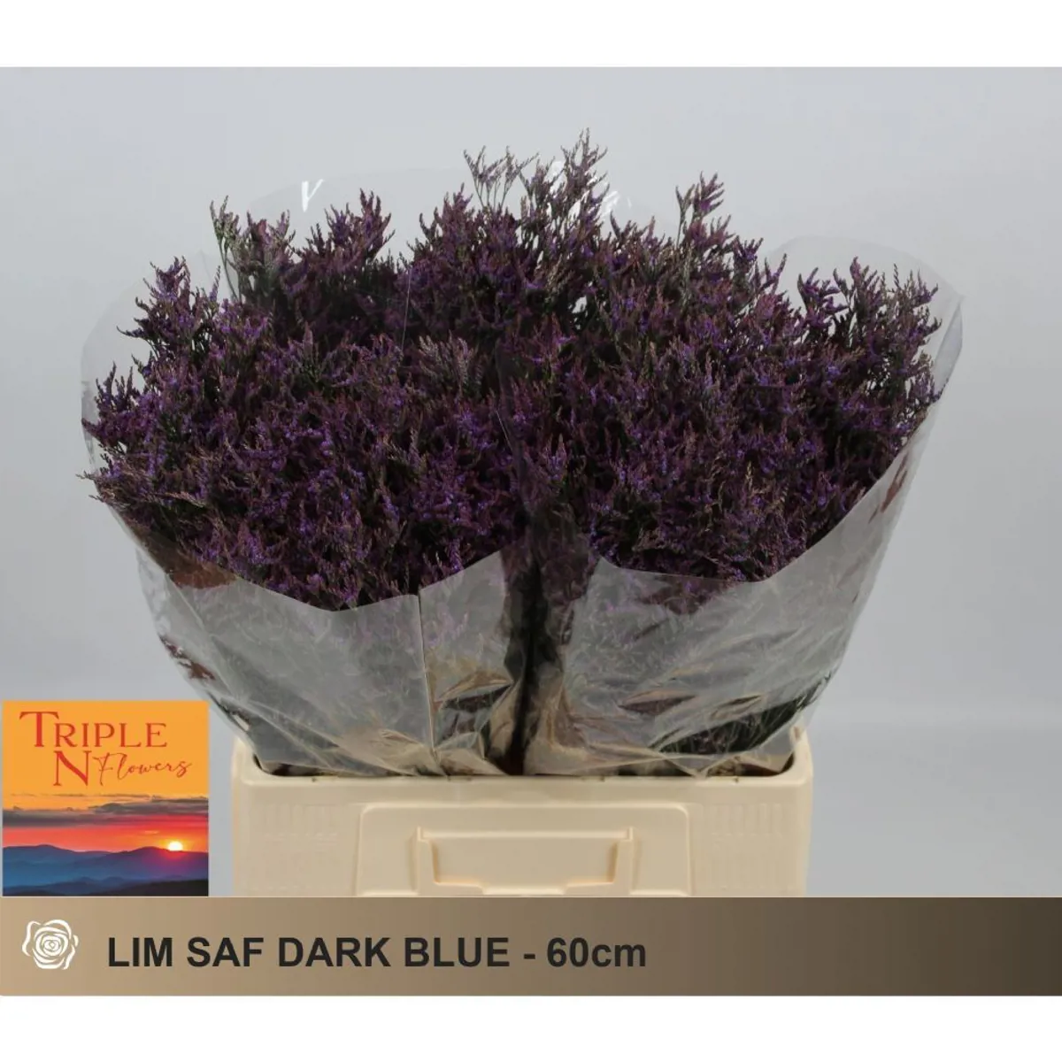  İthal Limonium Saf Dark Blue (25 dal-60 cm) - Ürün Görseli 1