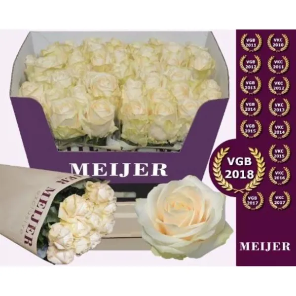 Ürün görseli 2