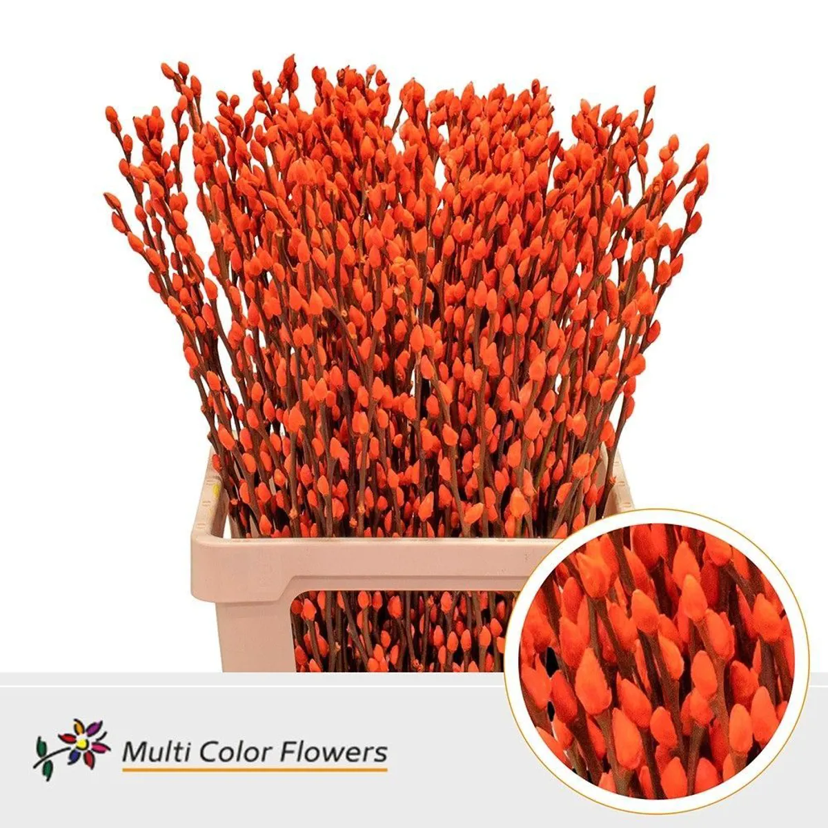 İthal Salix Ca Snow Flake Orange (10 dal-70cm) - Ürün Görseli 1