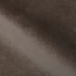 DG 19 NUT