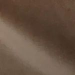 DG 20 SESAME