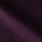 DG 32 EGGPLANT