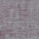 PALESTRO 11