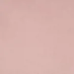 FLORENCE 06