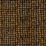 VENÜS 2862