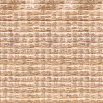 VENÜS 2863