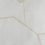 ZEN 21570