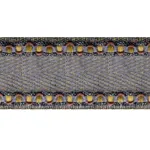 CLAM 53