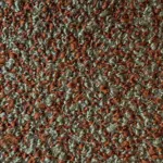 Focus 5862