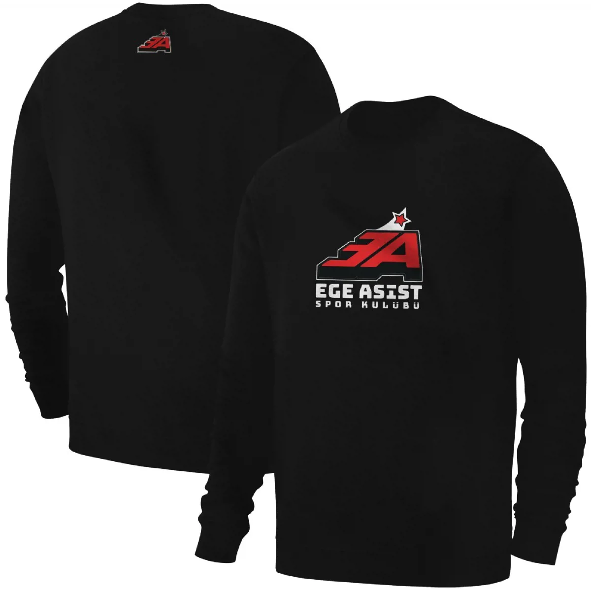 Ege Asist BASIC - USTF - Ürün Görseli 1