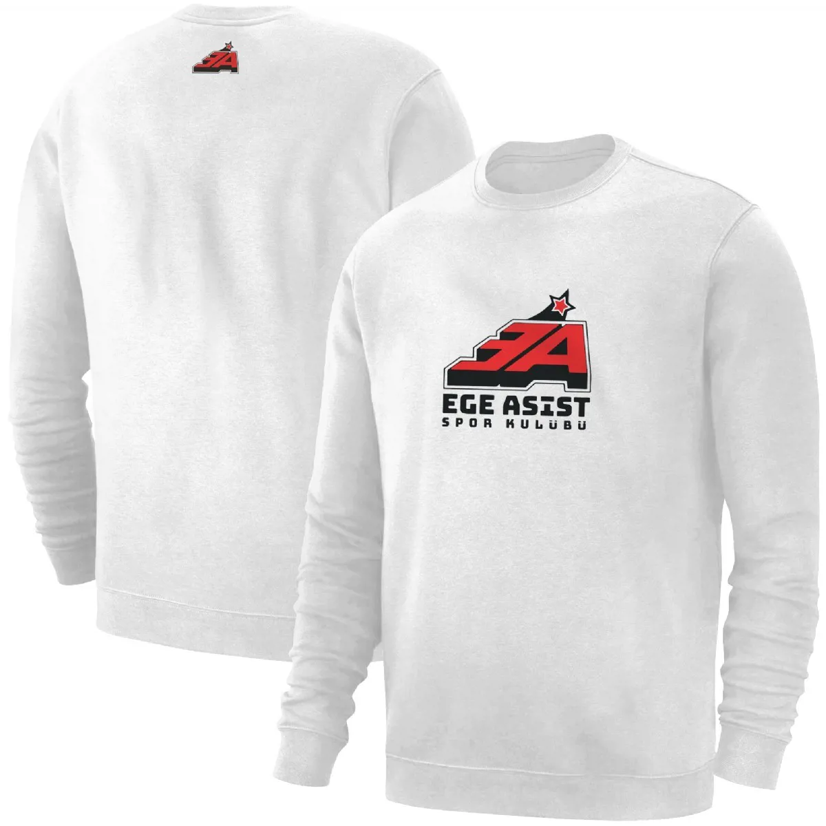 Ege Asist BASIC - USTF - Ürün Görseli 1