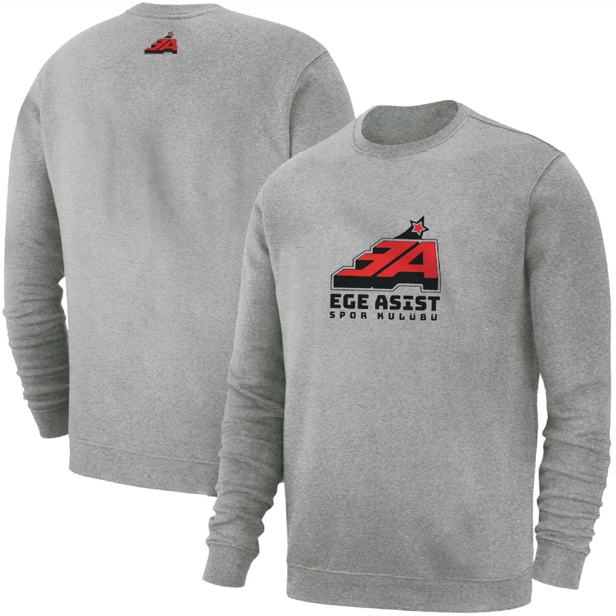 Ege Asist BASIC - USTF - Ürün Görseli 1
