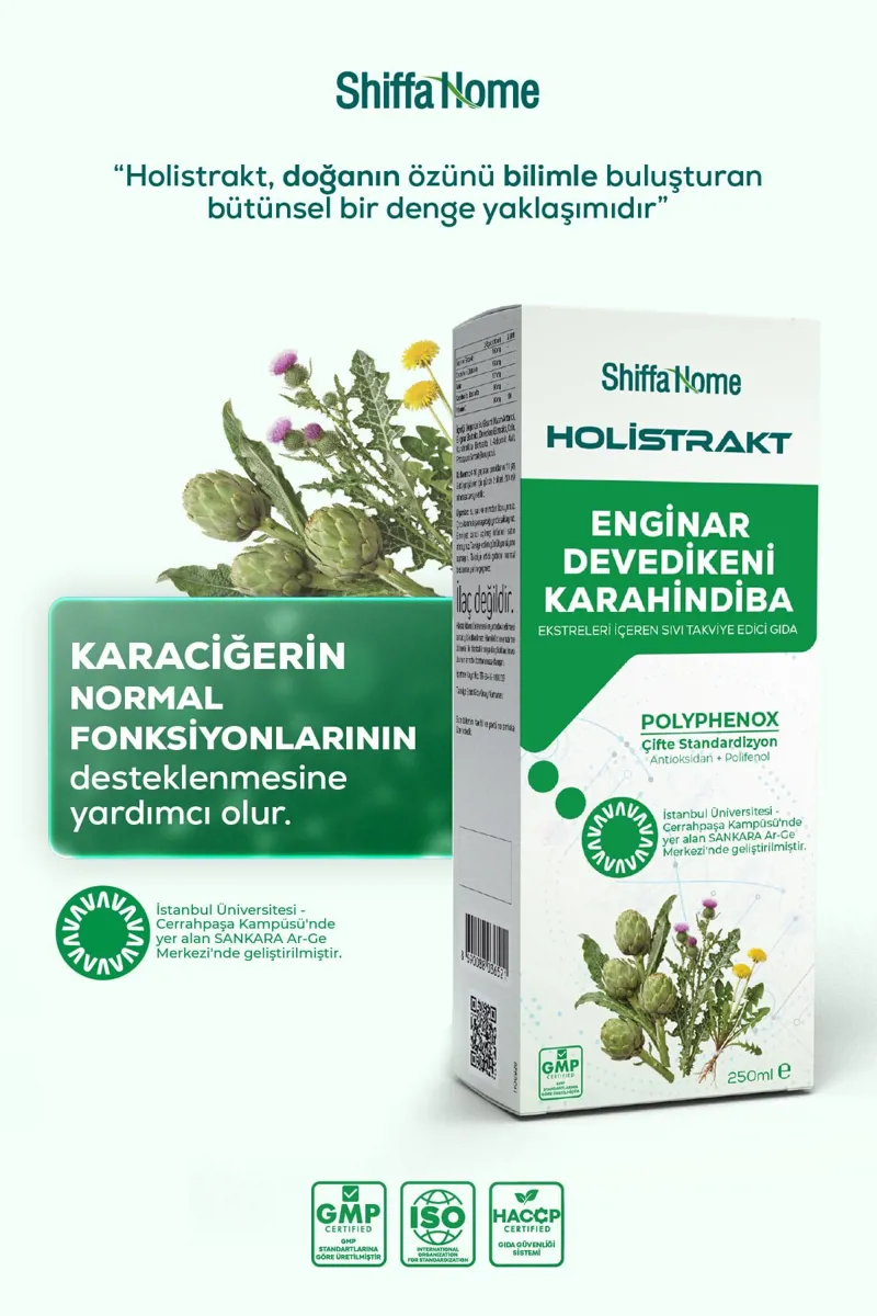 Shiffa Home Holistrakt Enginar - Devedikeni - Karahindiba Ekstreleri İçeren Sıvı Takviye Edici Gıda - Shiffa Home - Ürün Görseli 1