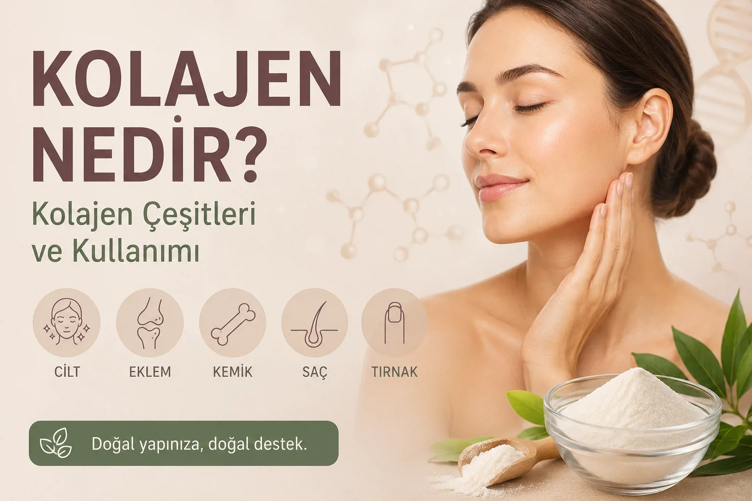 Kolajen Nedir? Kolajen Çeşitleri ve Kullanımı
