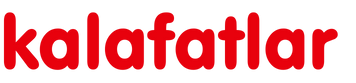 Fanta Zero 2,5 Lt Portakal